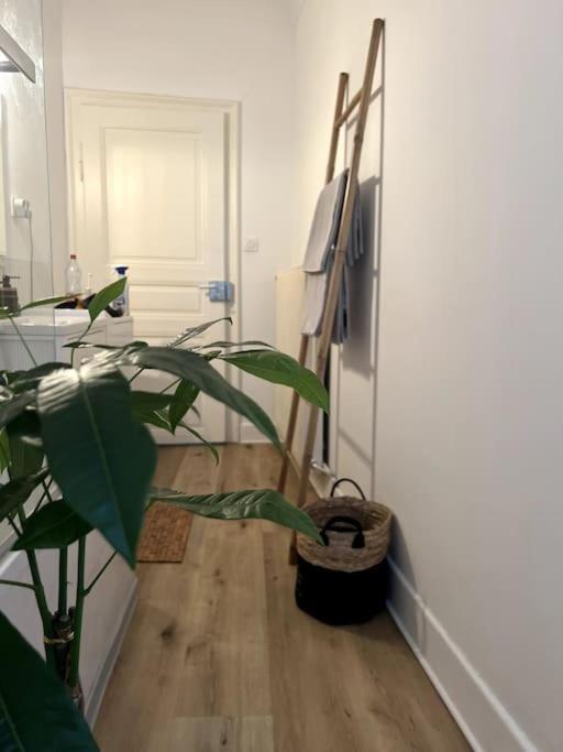 Appartement Cosy Et Lumineux Avec Parking Gratuit Colmar Extérieur photo