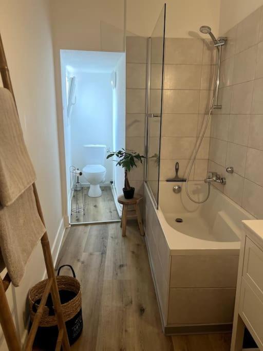 Appartement Cosy Et Lumineux Avec Parking Gratuit Colmar Extérieur photo