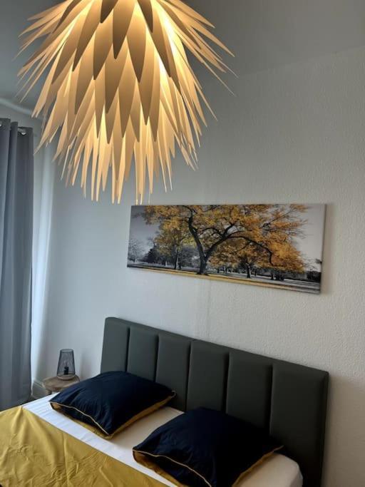 Appartement Cosy Et Lumineux Avec Parking Gratuit Colmar Extérieur photo